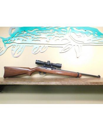 Ruger 10-22 with Scope