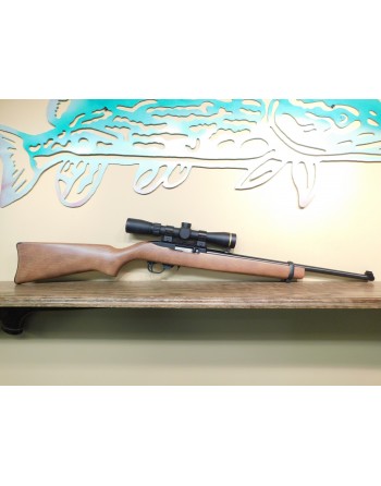 Ruger 10-22 with Leupold Scope