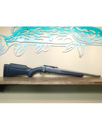 Ruger American Stainless 22